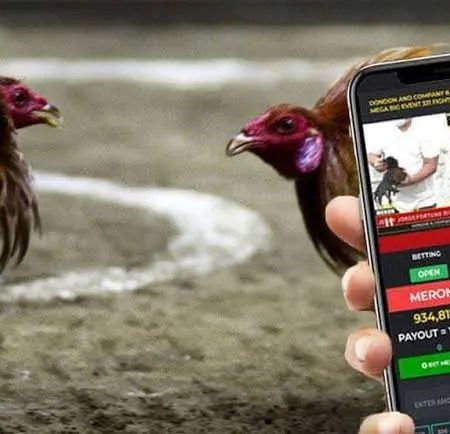 Inside MayaGame: How to Legally Play Sabong Online in the Philippines